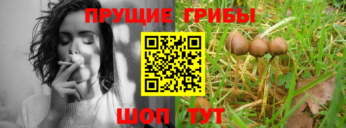 Псилоцибиновые грибы Magic Shrooms  Вход с VPN  Челябинск  где найти   Псилоцибиновые грибы ЛСД 